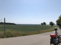 img 1310 1920 1920